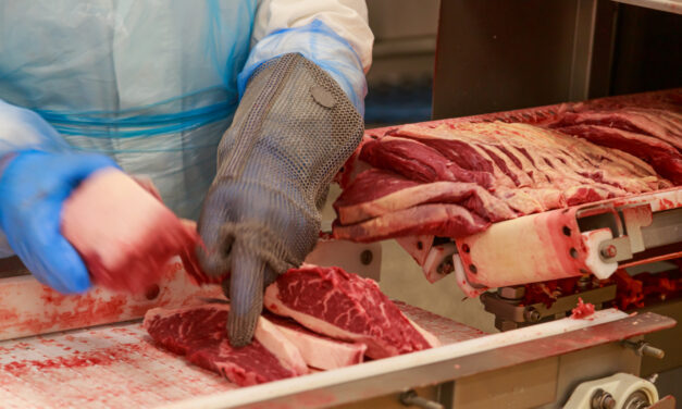 Dénerveuses et broyeurs : des équipements indispensables en charcuterie et en boucherie