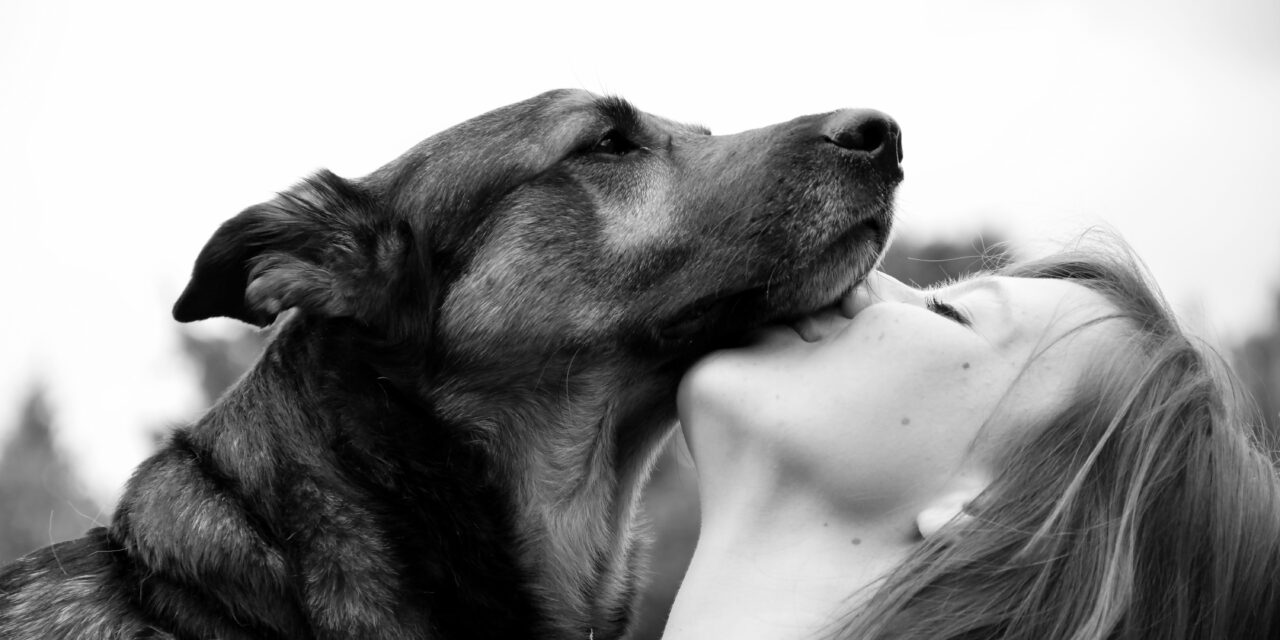 Travailler avec les animaux : quelles formations pour se reconvertir ?