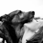 Travailler avec les animaux : quelles formations pour se reconvertir ?