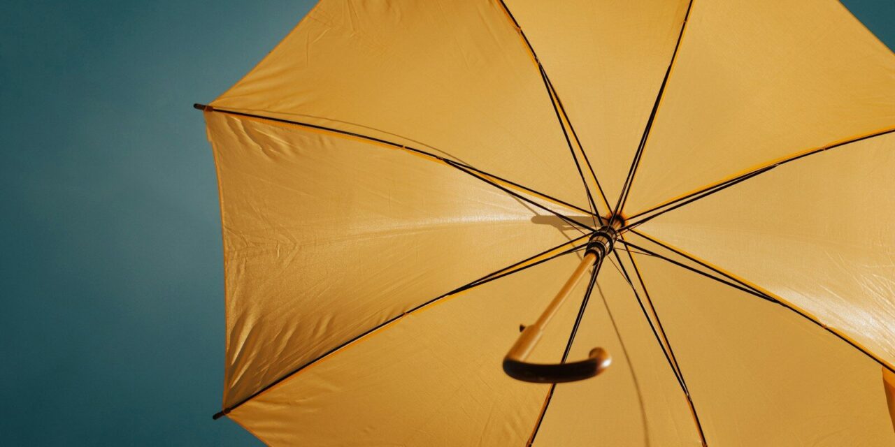 Parapluie avec logo : les critères qui séparent un bon investissement d’un budget perdu