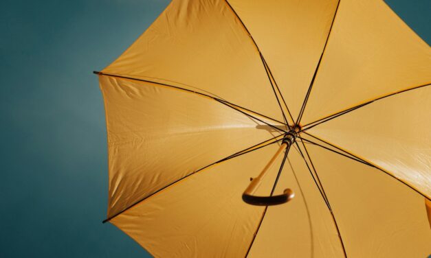 Parapluie avec logo : les critères qui séparent un bon investissement d’un budget perdu